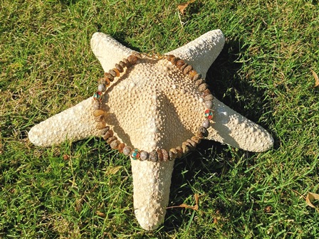 Bernsteinkette Hund Zeckenschutz