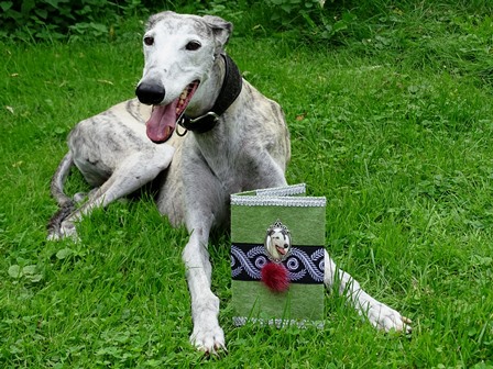Impfpasshülle Heimtierausweis Greyhound Galgo
