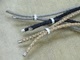 Zum vergrößern klicken Lederschmuck Windhund Saluki Galgo Whippet